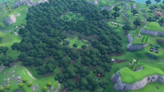 Fortnite : Défi semaine 4 Étape 2 : Chercher la lettre S à Wailing Woods