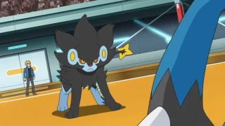 Pokémon GO : Les meilleurs Pokémon pour participer à la Coupe Mono-type : Édition Ligue Super