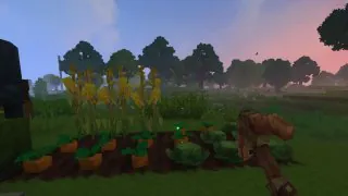 Hytale : Comment obtenir et utiliser les Graines Éternelles ?