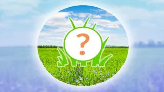 Pokémon GO : Kranidos à l'honneur pour l'heure vedette du 2 décembre 2025