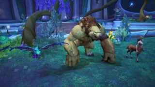 WoW : Blizzard répond à l'impatience des joueurs sur le mystère de la màj 10.2.6