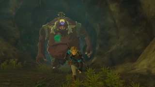 The Legend of Zelda: Tears of the Kingdom : MàJ 1.1.1 du 18 mai 2023, tous les détails