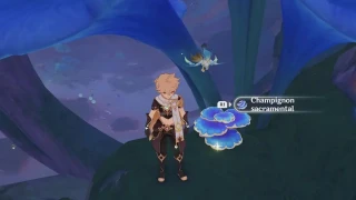 Genshin Impact : Champignon sacramental, où et comment en trouver ?