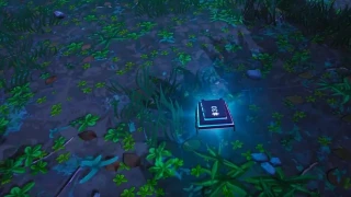 Fortnite : Défi Décryptage, puce 30 : Chercher quelque part entre Haunted Hills et Pleasant Park