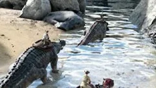 Le Récap'ARK #6