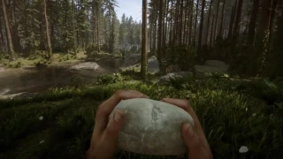 Sons of the Forest : La liste complète des trophées et succès