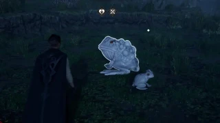 Hogwarts Legacy : Crapaud géant violet, où et comment en capturer ?