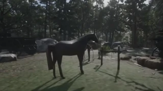 Red Dead Redemption 2 : Un Youtubeur propose une version « super low »
