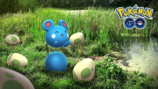 Pokémon GO : Azurill à l'honneur lors de la Journée Éclosion de septembre 2023