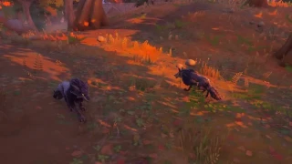 Fortnite : Comment apprivoiser les loups ?