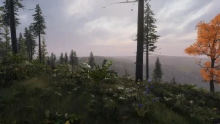 Project Artemis : Brendan Greene en dit plus sur son jeu, qui n'en sera pas vraiment un