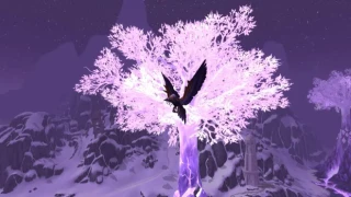 WoW : Les druides vont recevoir une nouvelle forme de vol