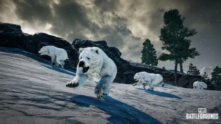 PUBG : MàJ 22.1, arrivée des ours et d'un nouveau scope, les détails