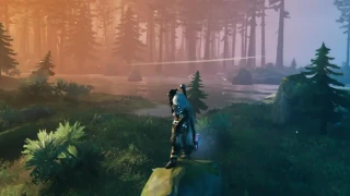 Valheim : Comment révéler toute la carte ?