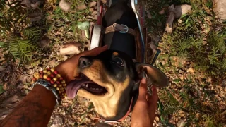 Far Cry 6 : Une vidéo dévoile les différentes interactions avec les animaux