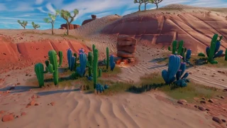 Détruire différents types de cactus, défi semaine 8