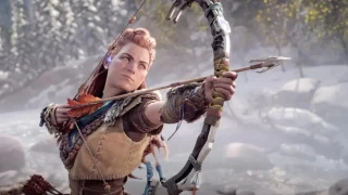 Horizon : Un MMO serait en préparation