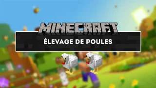Minecraft : Comment apprivoiser et élever des poules ?