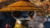 Biomutant : Comment avoir la classe Mercenaire ?
