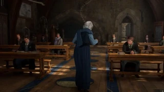 Hogwarts Legacy : Quel est le niveau maximum (level cap) ?