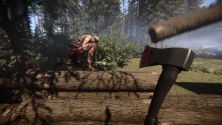 Sons of the Forest : Les configurations PC