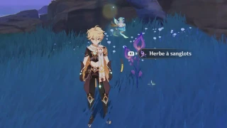 Genshin Impact : Herbe à sanglots, où et comment en trouver ?