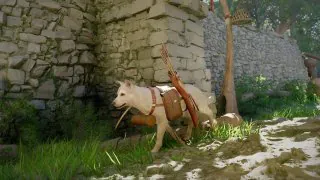 Crimson Desert : Où et comment obtenir des armures pour son chien ou chat ?