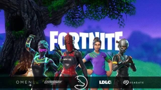 Fortnite : Team LDLC recrute trois nouveaux joueurs ! 