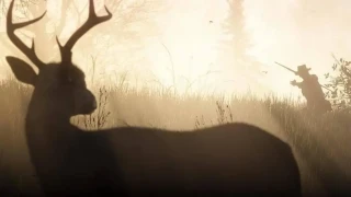 Red Dead Redemption 2 : Un joueur découvre des détails incroyables