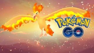 Pokémon GO dévoile la date du Moltres Day, avec à la clé le Pokémon Sulfura brillant !