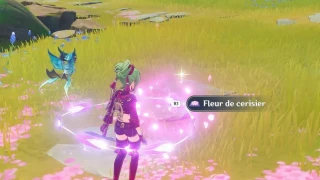 Genshin Impact : Fleur de cerisier, où et comment en obtenir ?