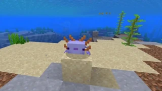 Minecraft : Quand sortira la mise à jour 1.17 Caves & Cliffs ?
