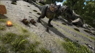 Résumé des patch 171.4 à 171.7