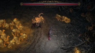 Path of Exile 2 est-il coopératif ?