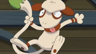 Pokémon GO : Comment obtenir Queulorior ?