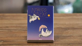 Nights With A Cat  : Le tome 6 vient de sortir