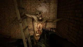 STALKER 2 Poltergeist : Comment battre ce fantôme presque immortel ?