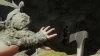 Illustration - The Forest va-t-il sortir sur Xbox One et Series ?