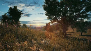 La qualité des sols et des terrains de PUBG devrait être améliorée prochainement !