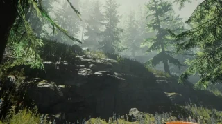 The Forest : Carte (map) et points d'intérêt