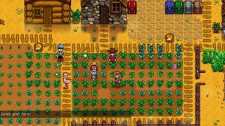 Le créateur de Stardew Valley dévoile une image du mode multijoueur ! 