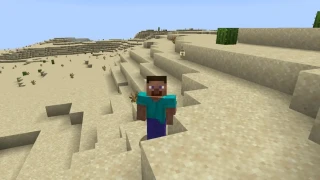 Minecraft le film : L'acteur qui jouera Steve est connu