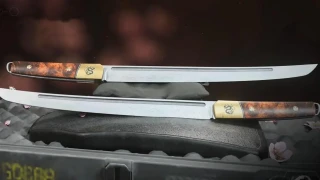 Modern Warfare 2/Warzone 2.0 : Double Kodachi, comment débloquer l'arme ?
