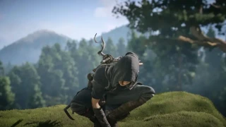 Assassin's Creed Shadows : Des informations supplémentaires sur son report