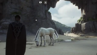 Hogwarts Legacy : Licorne, où et comment en capturer ?
