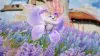 Illustration - Aniimo confirme son lancement sur un nouveau support