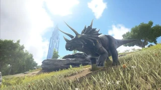 Le serveur ARK France débarque