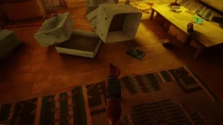 Stray : Les carnets, où les trouver ?