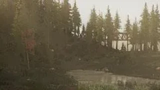 [MàJ] Miscreated n'est plus disponible sur Steam