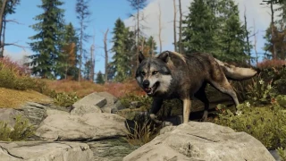 Rust ajoute un système de contact et améliore les animaux dans sa mise à jour de juin